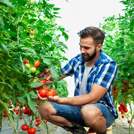 Prakhar Agro Services